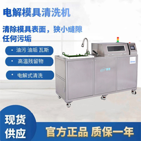 雙槽電解模具清洗機(jī)